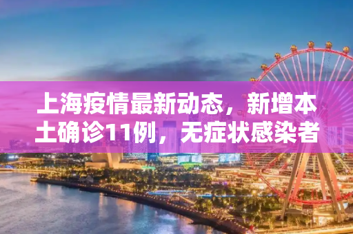 上海疫情最新动态，新增本土确诊11例，无症状感染者64例,关于上海新增本土确诊11例无症状64例的信息