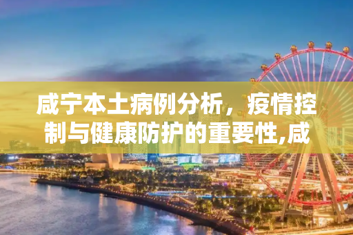 咸宁本土病例分析，疫情控制与健康防护的重要性,咸宁本土病例