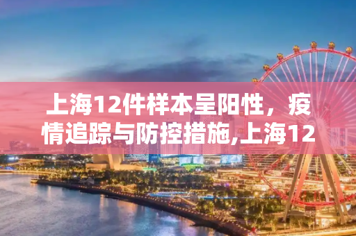 上海12件样本呈阳性，疫情追踪与防控措施,上海12件样本呈阳性