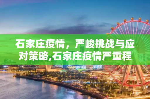 石家庄疫情，严峻挑战与应对策略,石家庄疫情严重程度