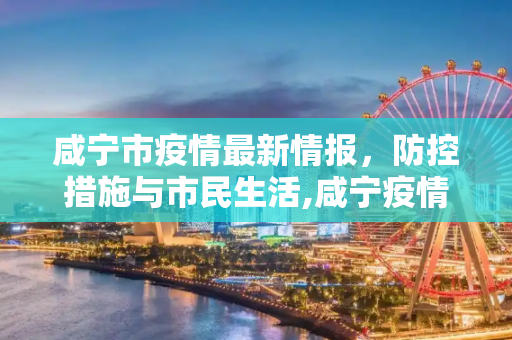咸宁市疫情最新情报，防控措施与市民生活,咸宁疫情最新情报