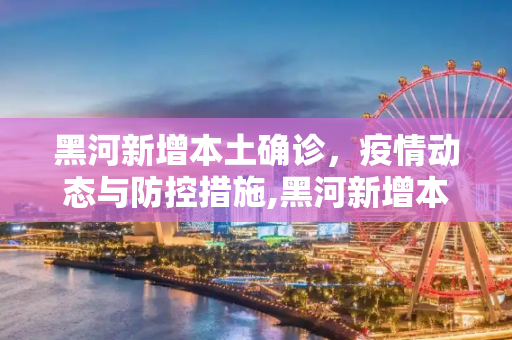 黑河新增本土确诊，疫情动态与防控措施,黑河新增本土确诊