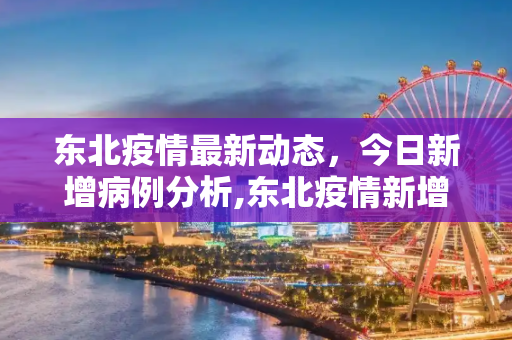 东北疫情最新动态，今日新增病例分析,东北疫情新增消息今天