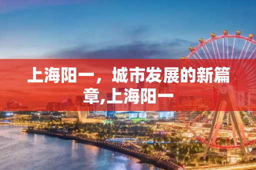 上海阳一，城市发展的新篇章,上海阳一