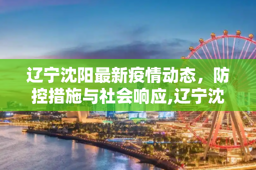 辽宁沈阳最新疫情动态，防控措施与社会响应,辽宁沈阳最新疫情