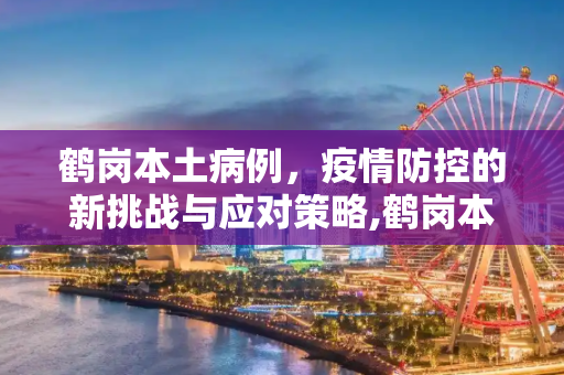 鹤岗本土病例，疫情防控的新挑战与应对策略,鹤岗本土病例