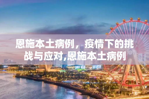 恩施本土病例，疫情下的挑战与应对,恩施本土病例