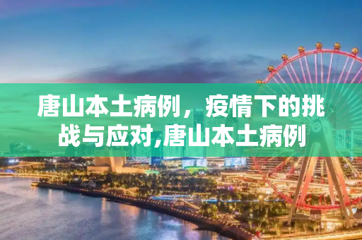 唐山本土病例，疫情下的挑战与应对,唐山本土病例