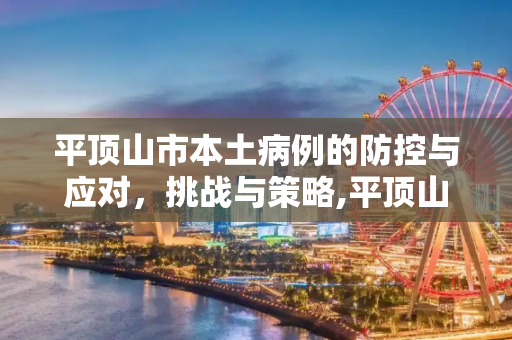 平顶山市本土病例的防控与应对，挑战与策略,平顶山本土病例