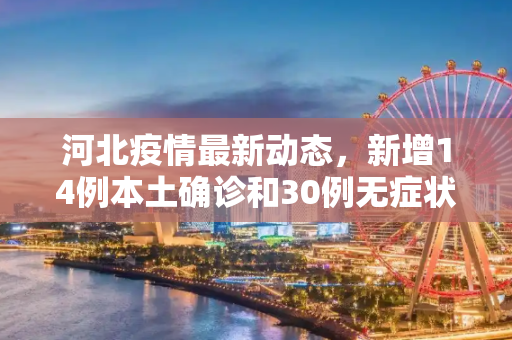 河北疫情最新动态，新增14例本土确诊和30例无症状感染者,河北新增14例本土确诊和30例无症状