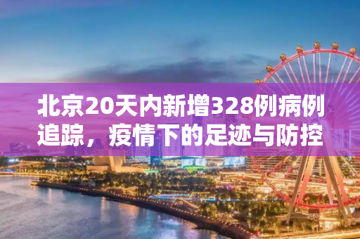 北京20天内新增328例病例追踪，疫情下的足迹与防控,北京20天新增328例都去过哪