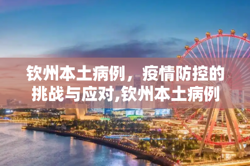 钦州本土病例，疫情防控的挑战与应对,钦州本土病例