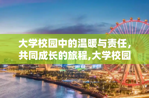 大学校园中的温暖与责任，共同成长的旅程,大学校园中的温暖与责任