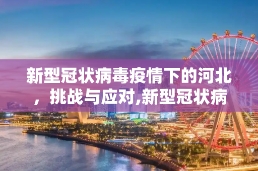 新型冠状病毒疫情下的河北，挑战与应对,新型冠状病毒河北