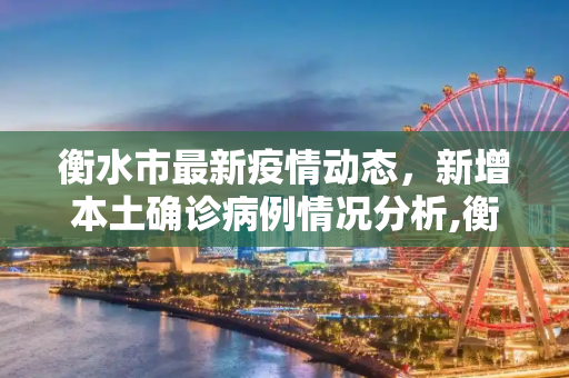 衡水市最新疫情动态，新增本土确诊病例情况分析,衡水新增本土确诊