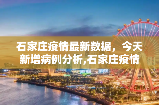 石家庄疫情最新数据，今天新增病例分析,石家庄疫情最新数据消息今天新增