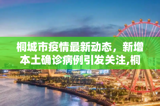 桐城市疫情最新动态，新增本土确诊病例引发关注,桐城新增本土确诊