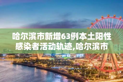 哈尔滨市新增63例本土阳性感染者活动轨迹,哈尔滨市新增63例本土阳性感染者活动轨迹