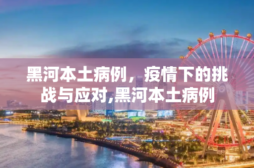黑河本土病例，疫情下的挑战与应对,黑河本土病例