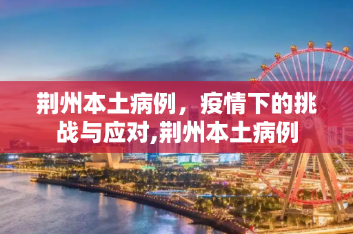 荆州本土病例，疫情下的挑战与应对,荆州本土病例