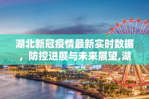 湖北新冠疫情最新实时数据，防控进展与未来展望,湖北新冠疫情最新实时数据
