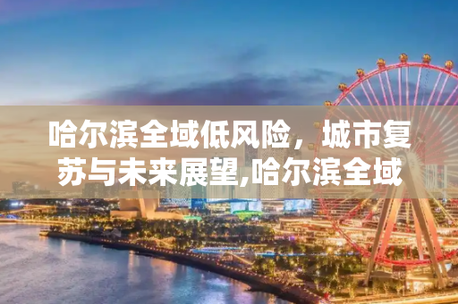 哈尔滨全域低风险，城市复苏与未来展望,哈尔滨全域低风险