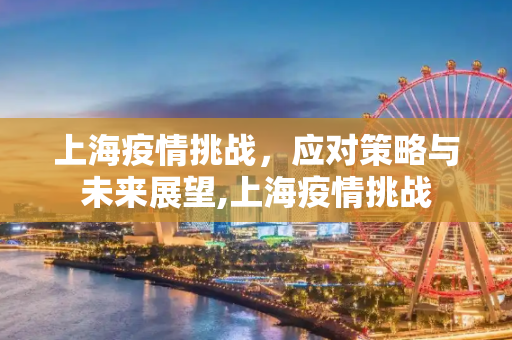 上海疫情挑战，应对策略与未来展望,上海疫情挑战