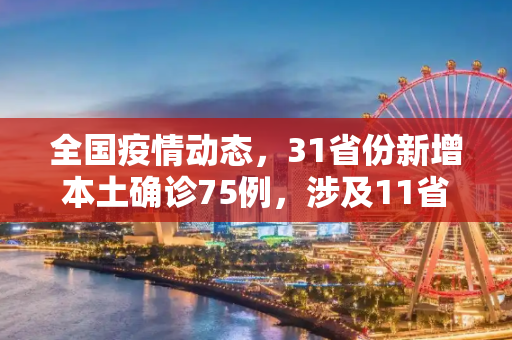 全国疫情动态，31省份新增本土确诊75例，涉及11省市的防控挑战,31省份增本土确诊75例 涉11省市