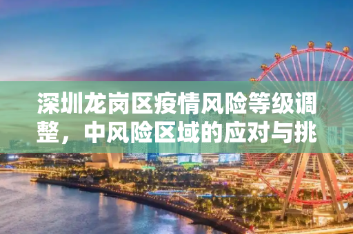 深圳龙岗区疫情风险等级调整，中风险区域的应对与挑战,深圳龙岗区调为中风险