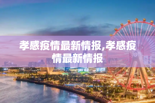 孝感疫情最新情报,孝感疫情最新情报