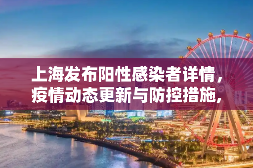 上海发布阳性感染者详情，疫情动态更新与防控措施,上海发布阳性感染者详情
