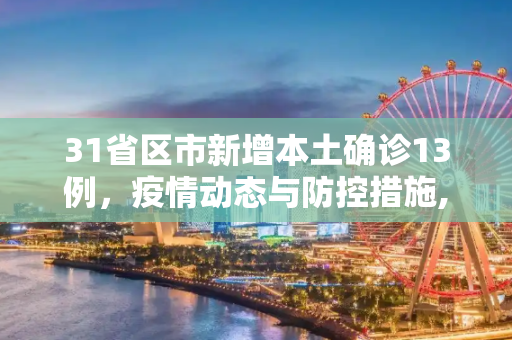 31省区市新增本土确诊13例，疫情动态与防控措施,31省区市新增本土确诊13例