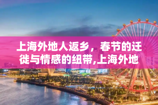 上海外地人返乡，春节的迁徙与情感的纽带,上海外地人返乡