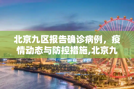 北京九区报告确诊病例，疫情动态与防控措施,北京九区报告确诊病例