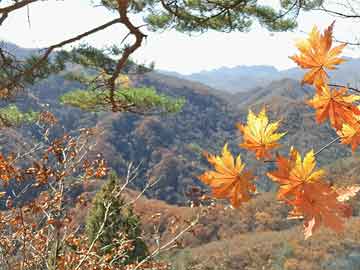 上海疫情防控升级，新增一个中风险地区,上海新增一个中风险地区